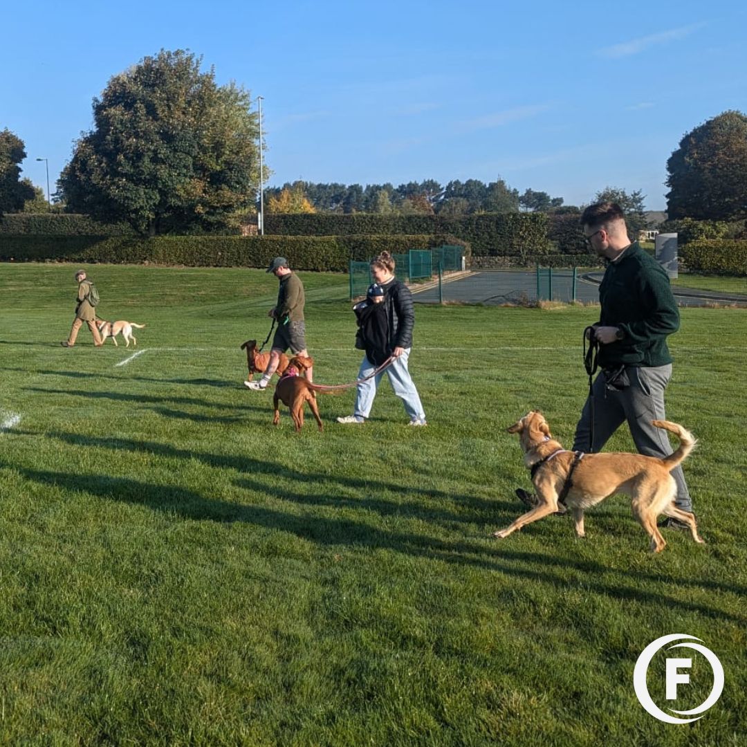 group training classes in horsforth