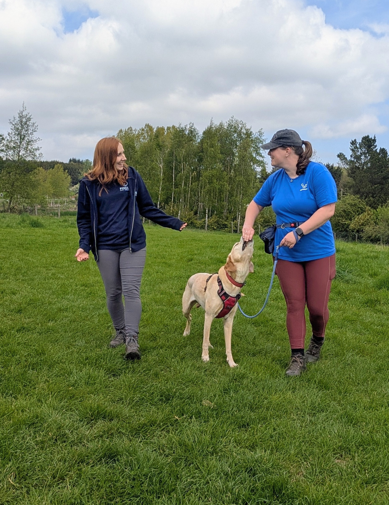one to one dog training in Leeds